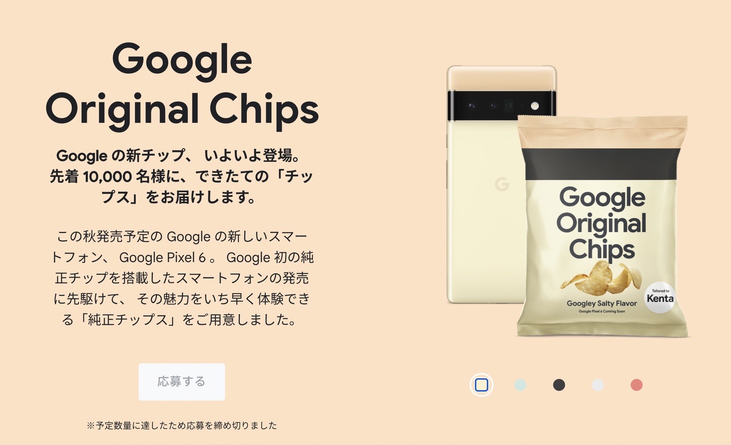 Google Original Chips