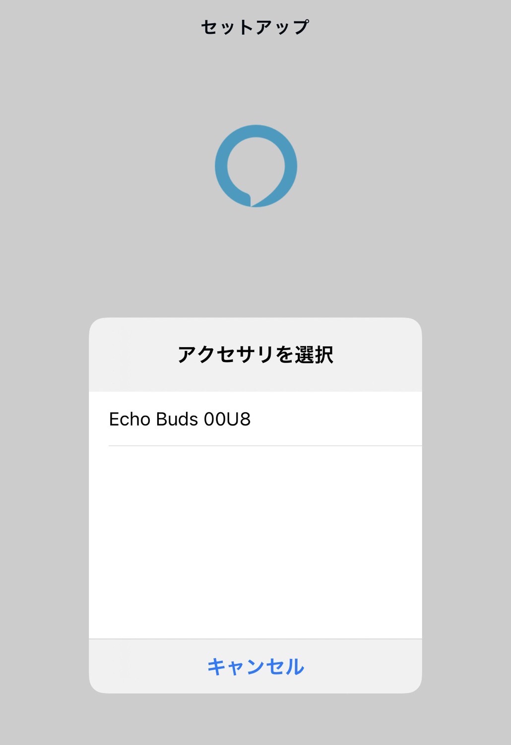 Echo buds 2nd 18011