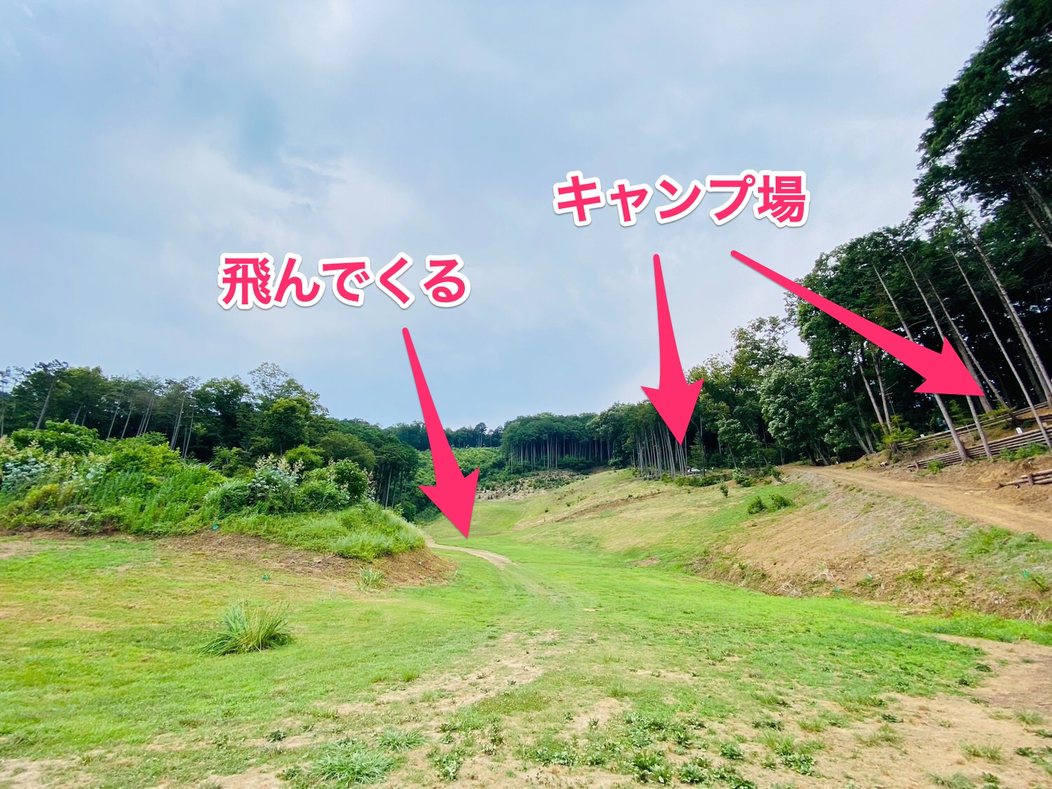 スカイパーク毛呂山キャンプ場 21003