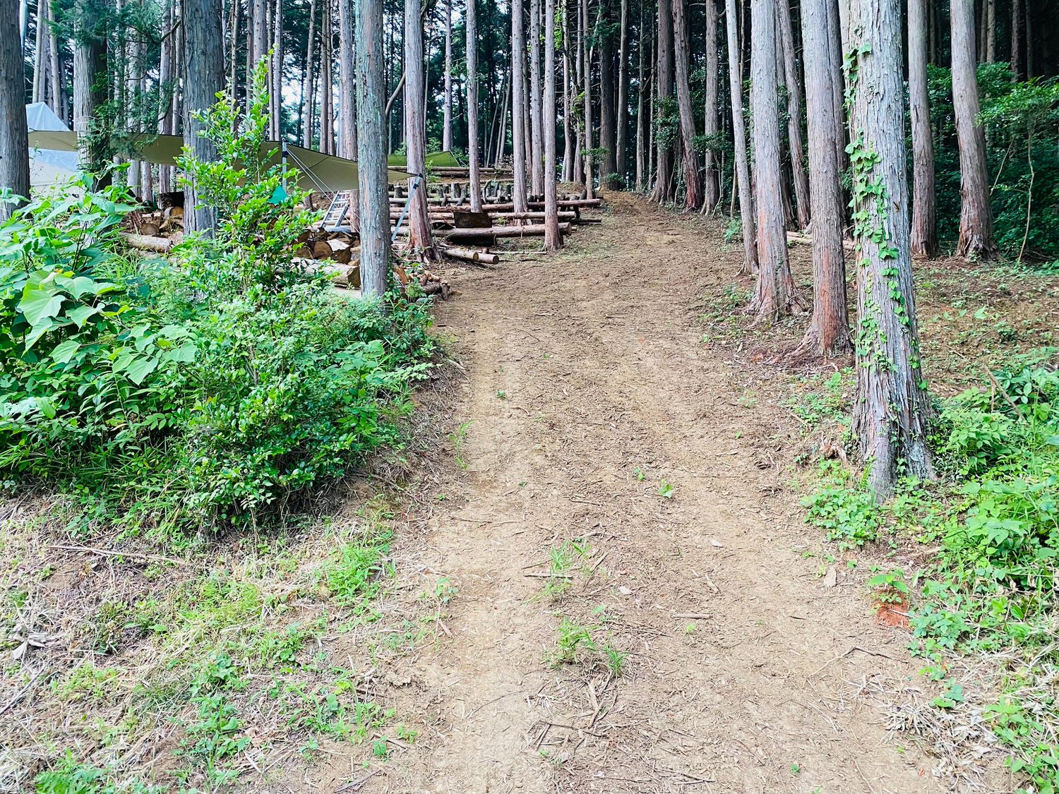 スカイパーク毛呂山キャンプ場 21018