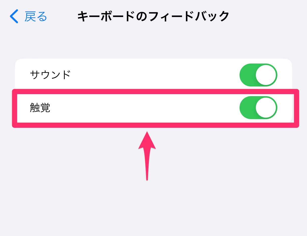 Ios 16 haptic keyboard enable 15001