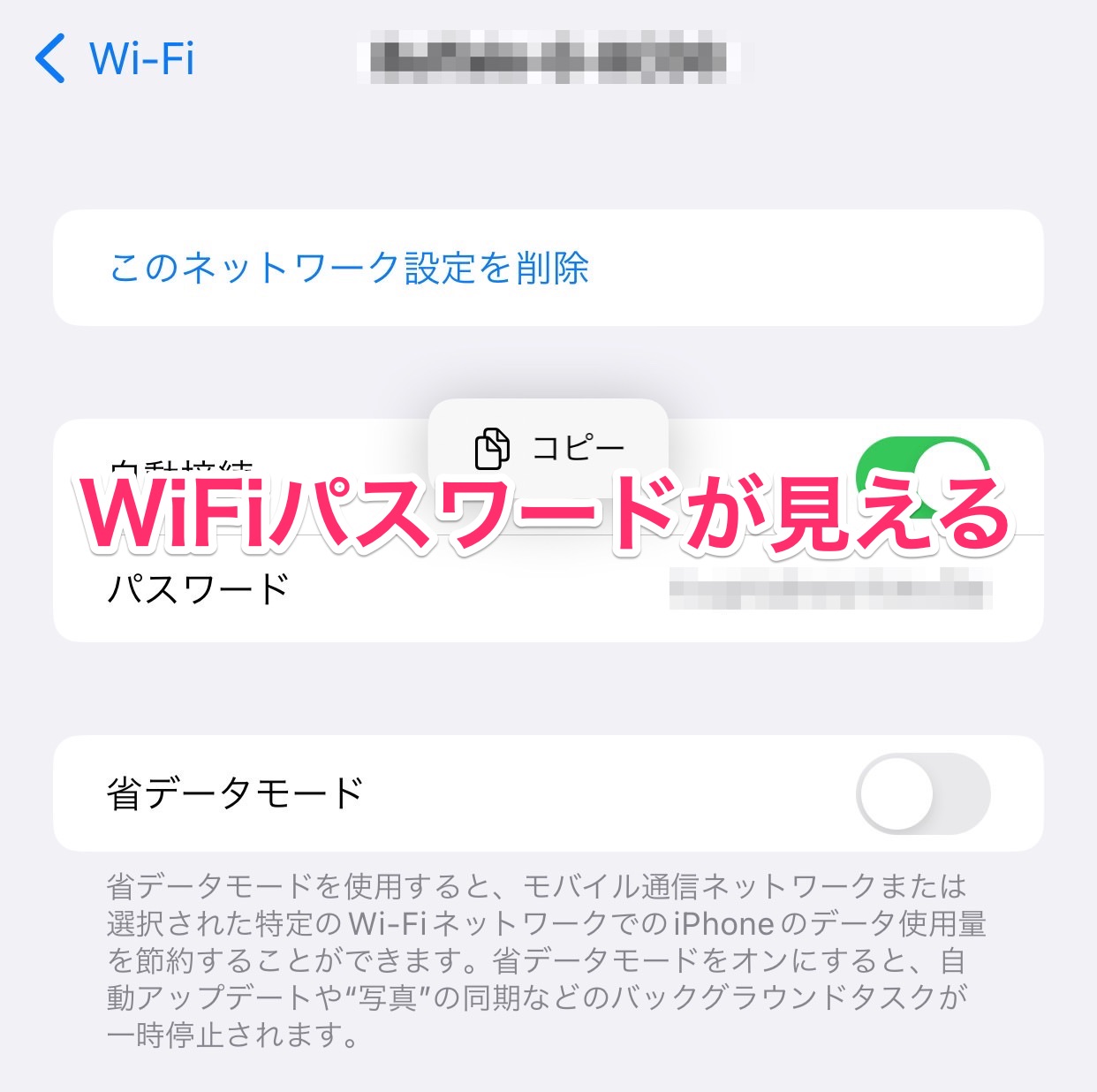 Ios 16 wifi password 13003title