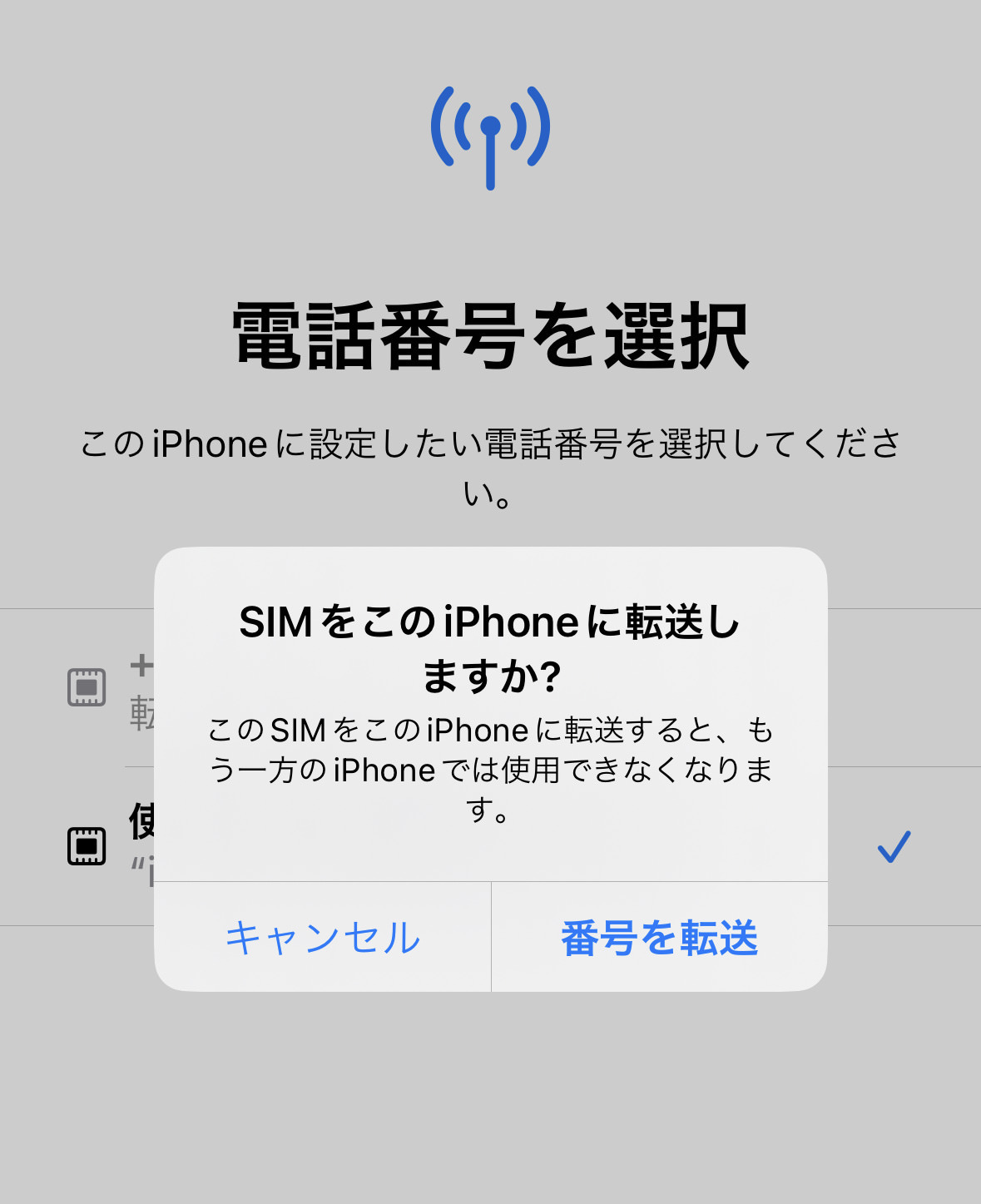 【povo2.0】iPhone機種変更でeSIMのクイック転送（移行）がうまくいかない 17002