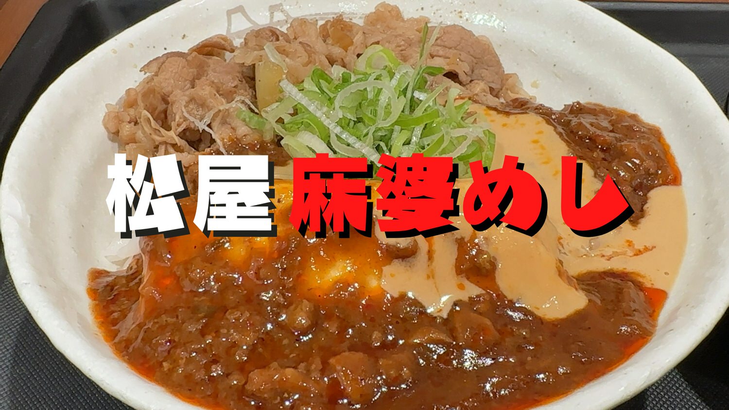 松屋 富士山豆腐 麻婆めし 15000