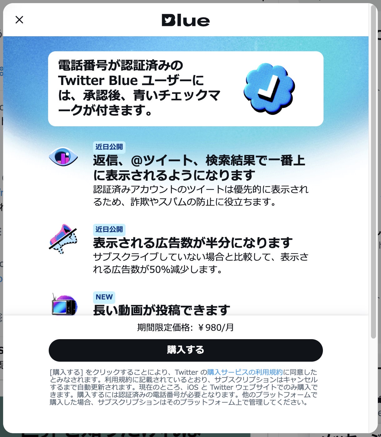 Twitter Blue Japan 11001