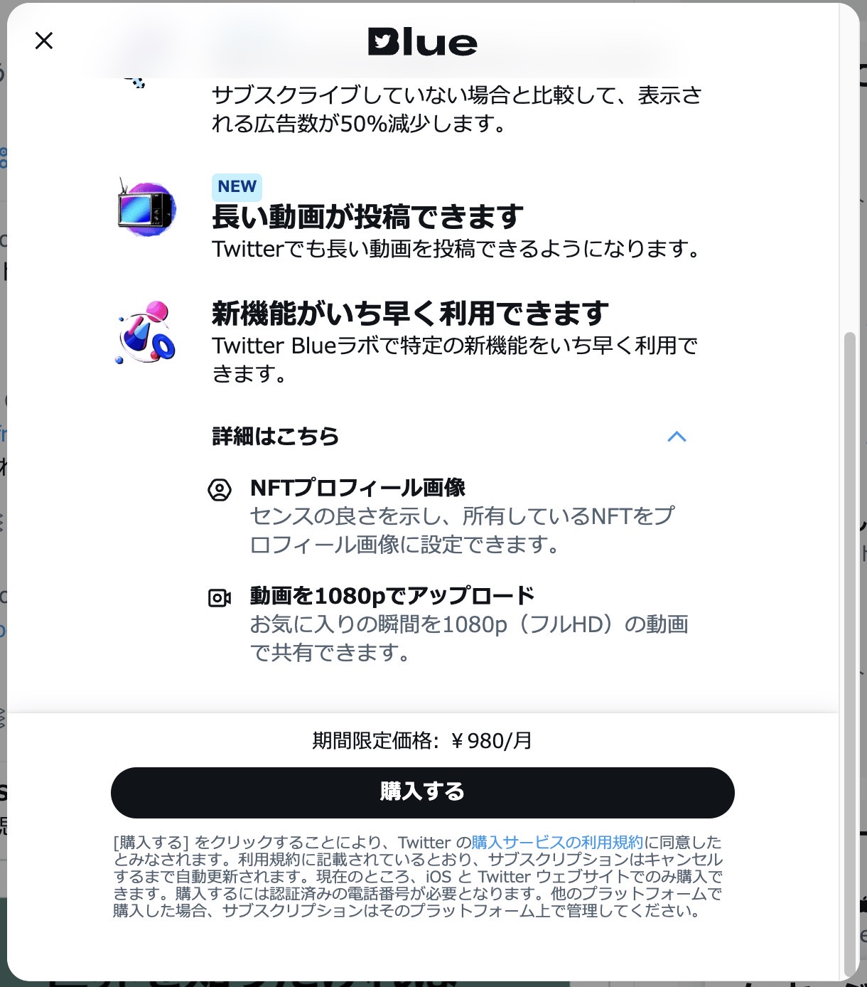 Twitter Blue Japan 11002