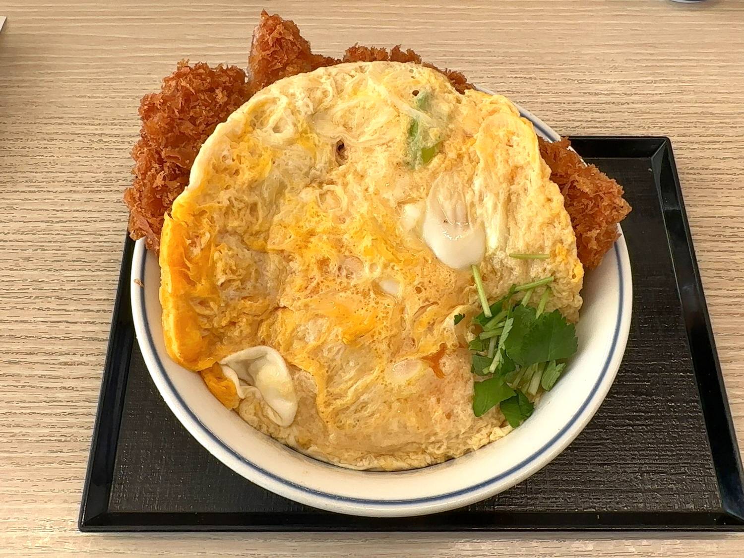 かつや ふわたま白カツ丼 13002 result