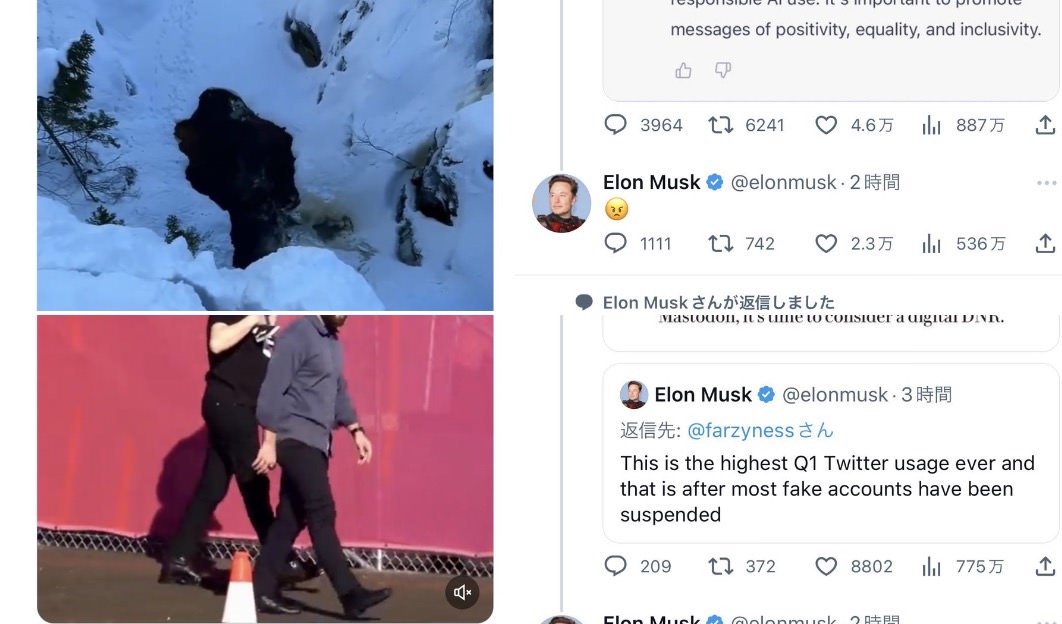 Twitter elonmusk