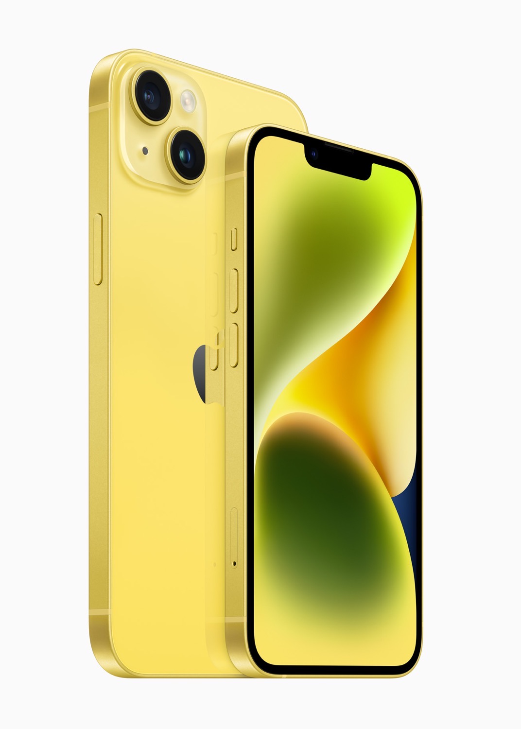 Apple yellow 0010307 08