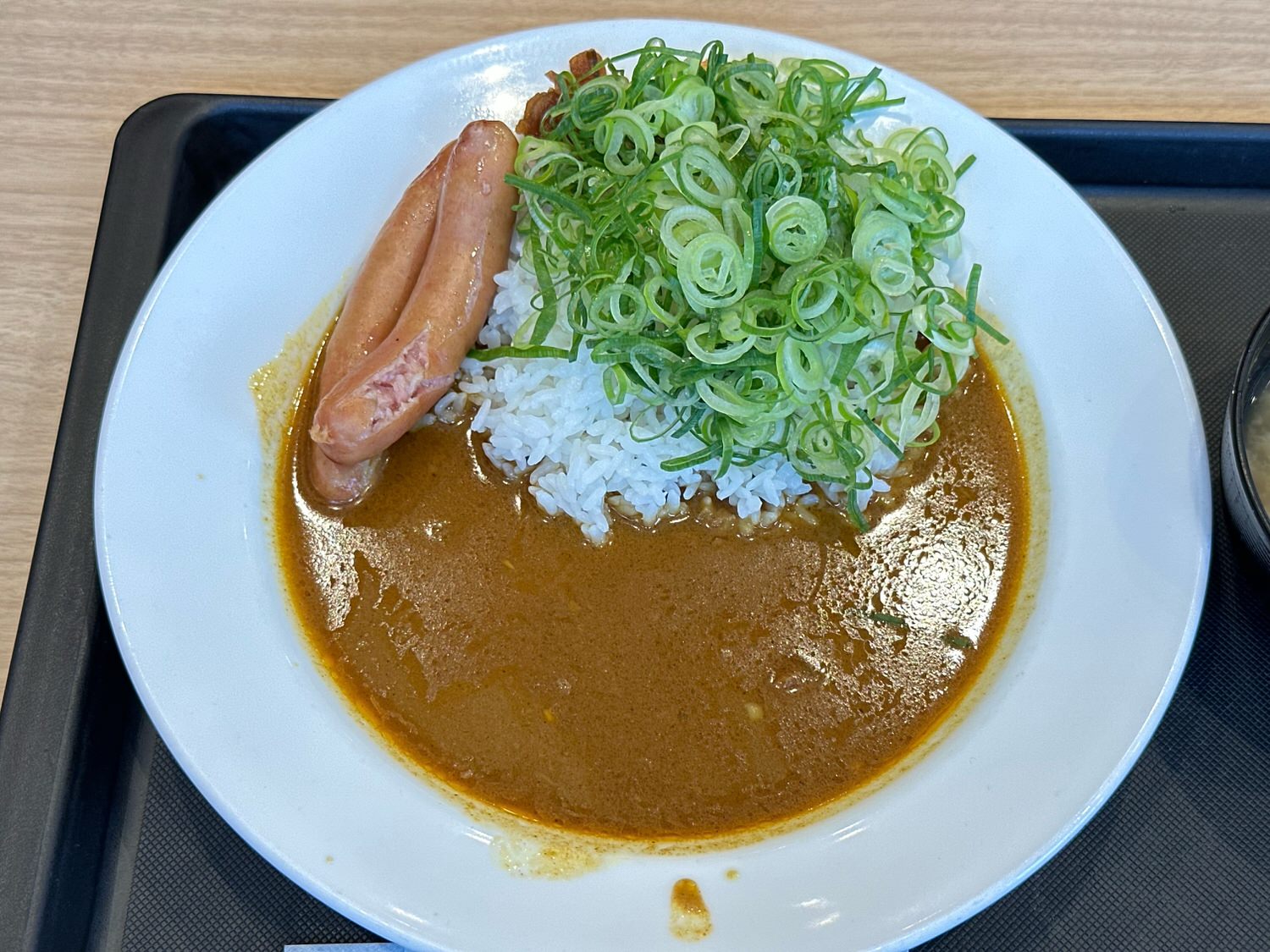 松屋 ねぎたっぷりスパイスカレー 004 09