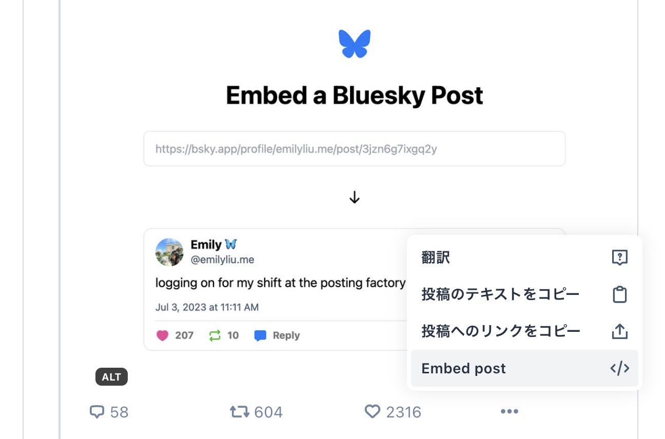 Bluesky post embed.