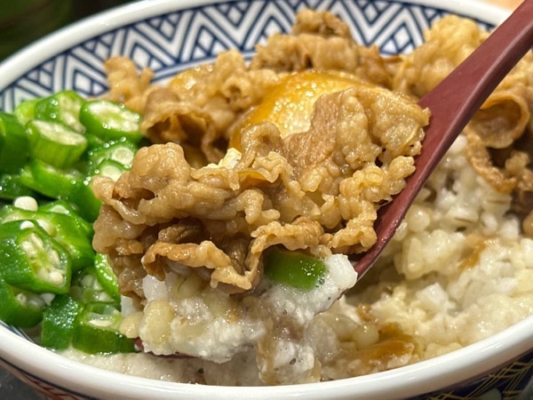 Yoshinoya mugitoro 015.