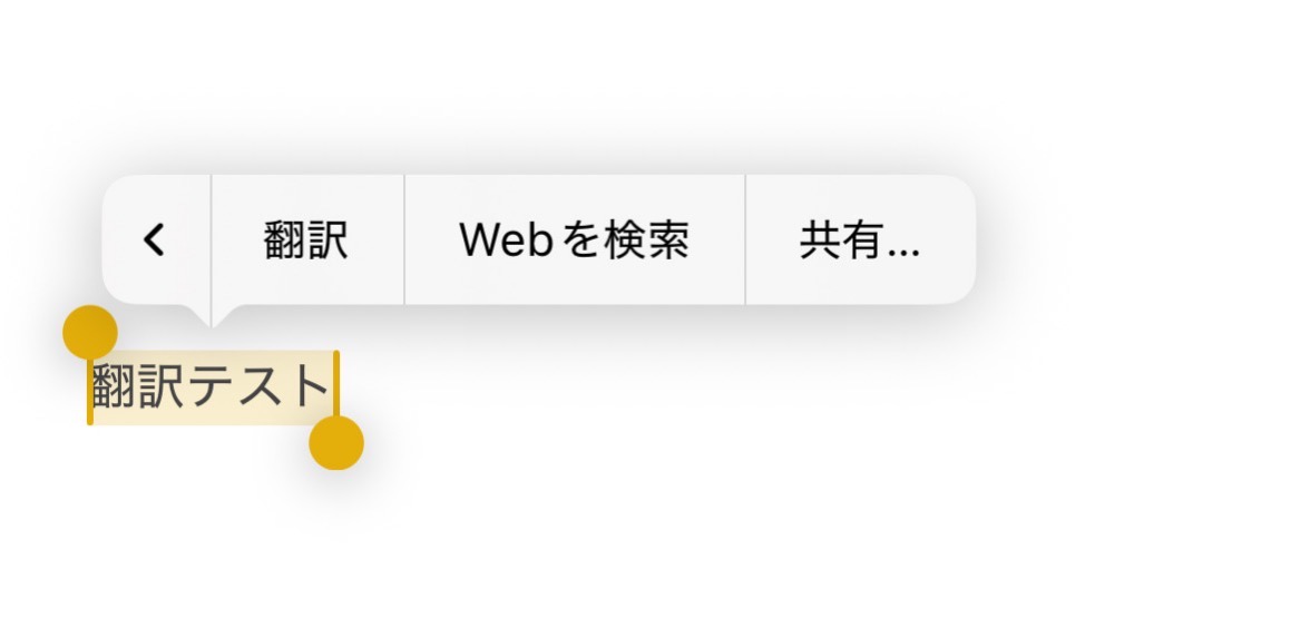 Google translate ios 003.