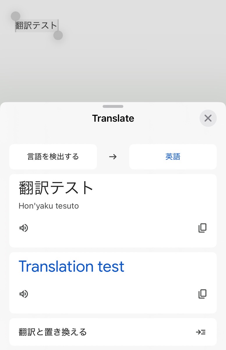 Google translate ios 004.