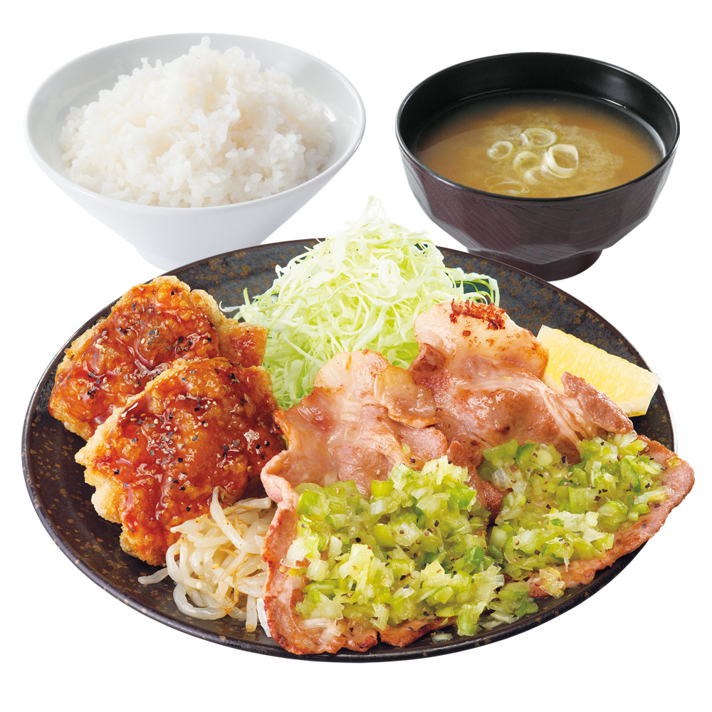 Karayama negisio 004.