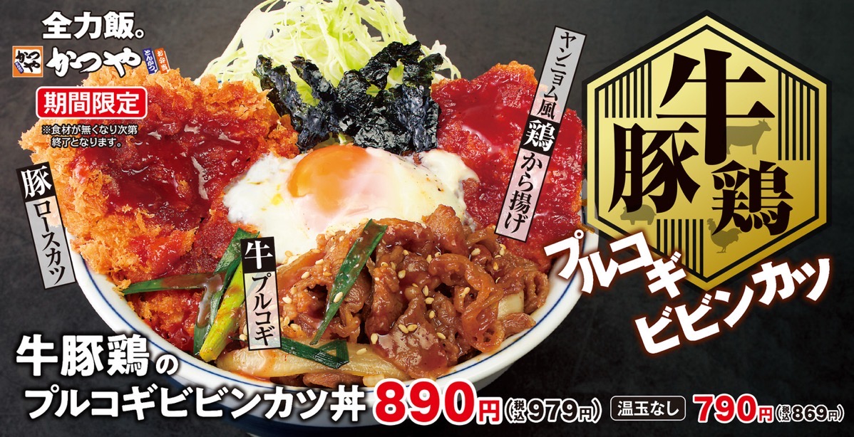 Katsuya purukogi 013.