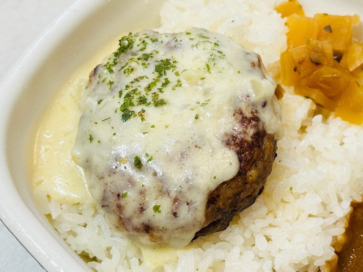 sukiya-humburg-curry-015.jpg すき家 チーズインハンバーグカレー 015.