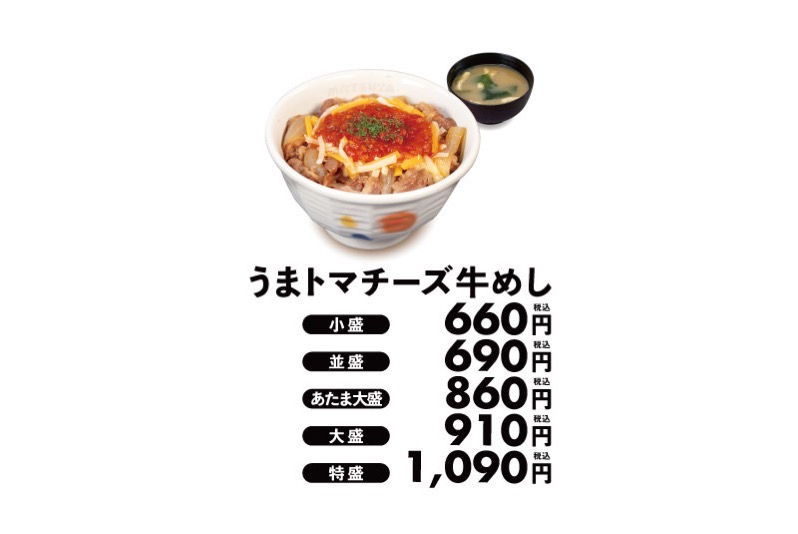 Matsuya umatoma gyumeshi 002.
