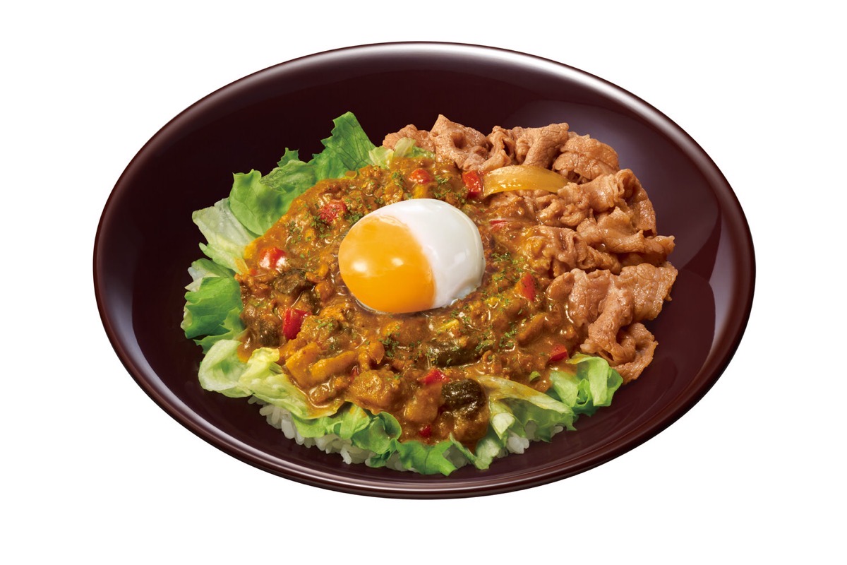 Sukiya kima curry 004.