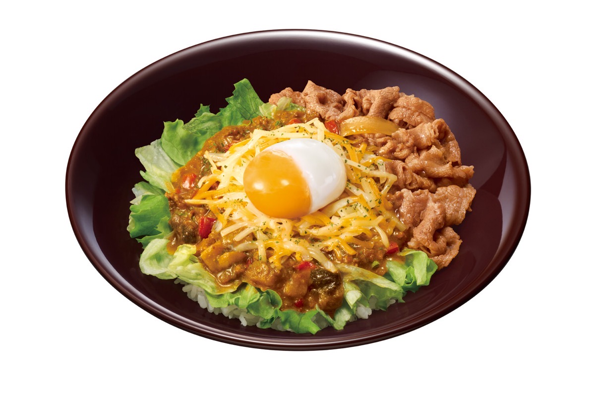 Sukiya kima curry 005.