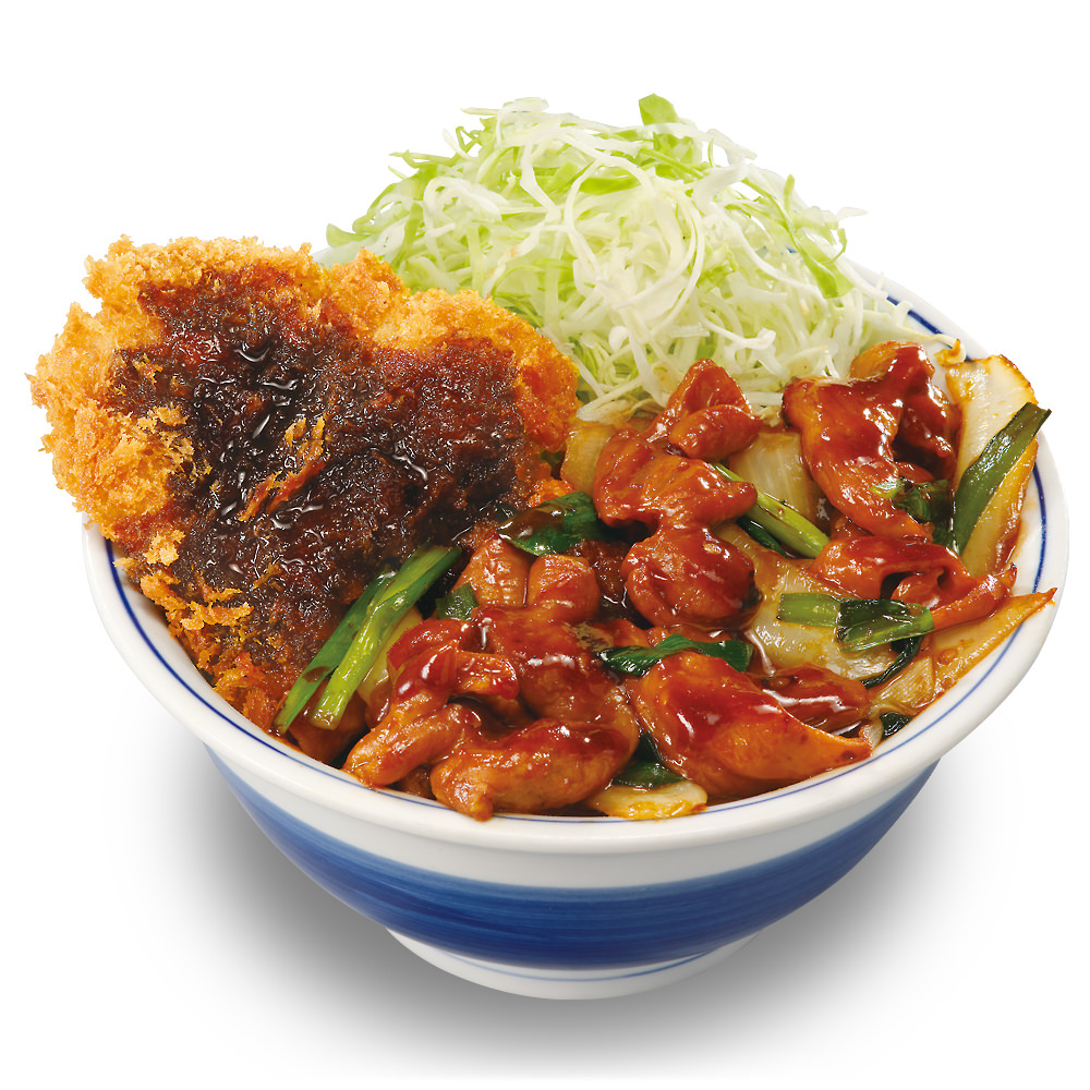 Katsuya motsuyasai chicken 001.