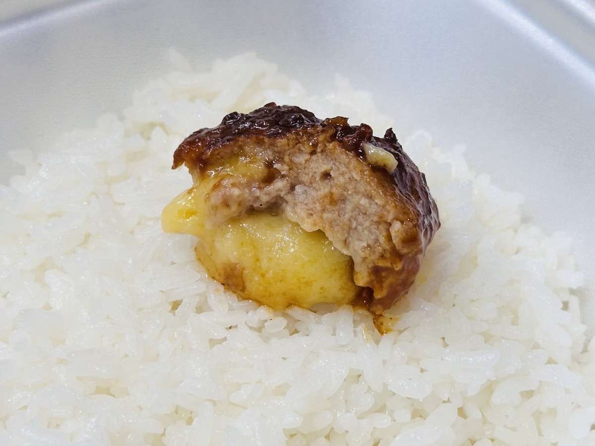 松屋 溢れる3種の濃厚チーズINハンバーグ 019.