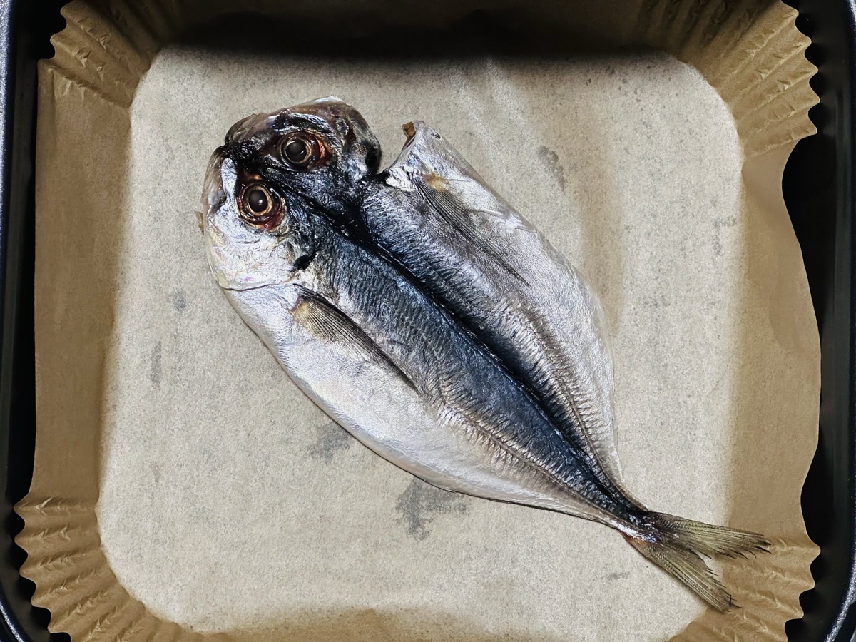 Cosori fish 002.