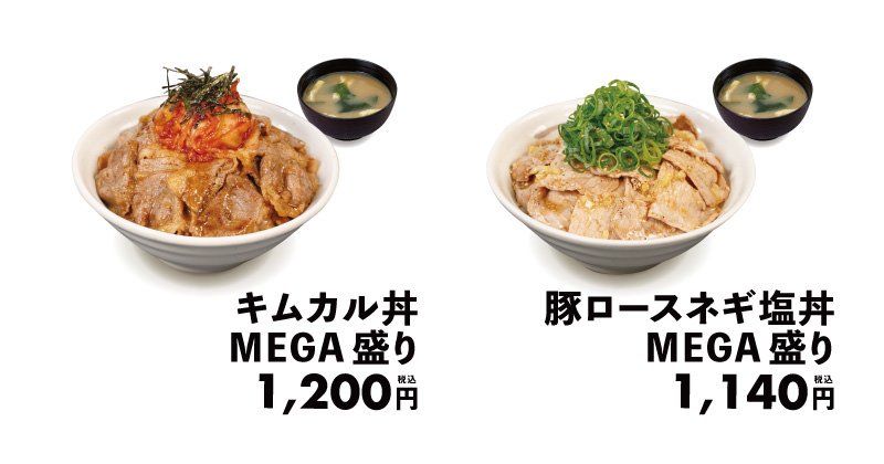 Matsuya mega 002.
